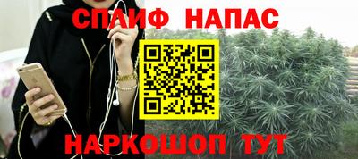 стафф Будённовск