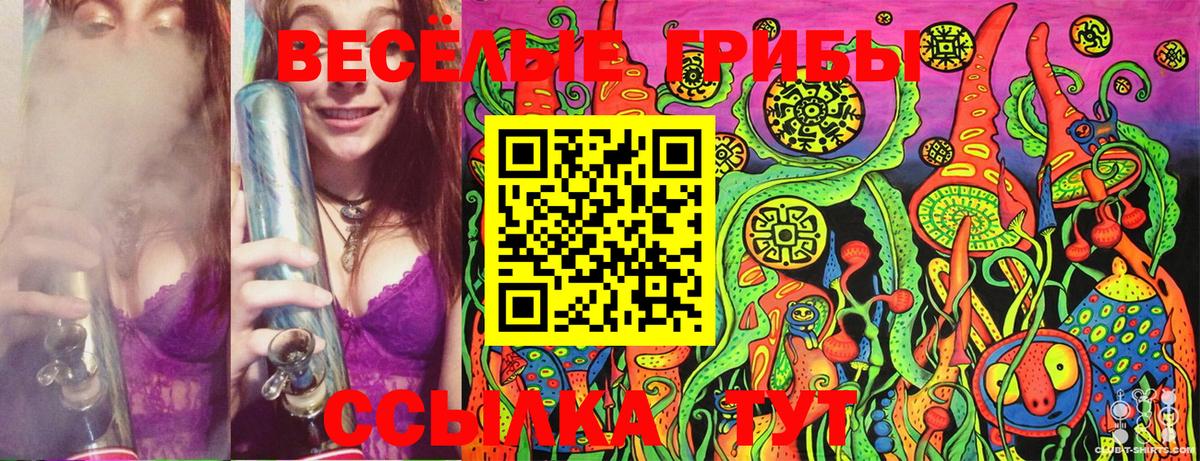 Псилоцибиновые грибы GOLDEN TEACHER  Галлюциногенные грибы Psilocybine cubensis  Вход с VPN  Чернушка 